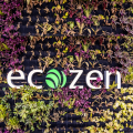 Ecozen 1080x1080