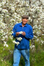 Herminio (Argentine) examine la superbe floraison de ses arbres fruitiers. Il cultive entre autres des poires, des pommes et des prunes, pour une production totale de 1200 tonnes de fruits par an.