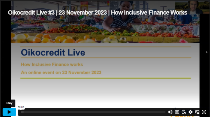 Screenshot opname webinar inclusive finance
