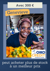 Investeringsvoorstellen FR (1)