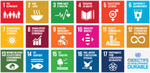 SDG_icons_fr-1.png