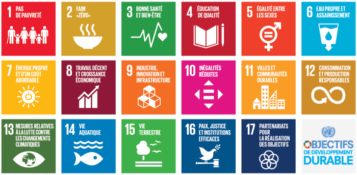 SDG_icons_fr-1