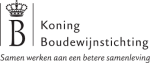 koningbouwdewijnstichting
