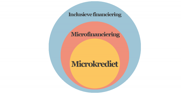 microkrediet voor dummies - incl finance