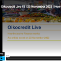 Screenshot opname webinar inclusive finance.png