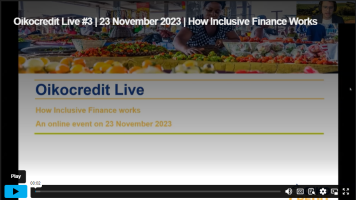 Screenshot opname webinar inclusive finance.png