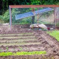 ECO-IN-100.jpg